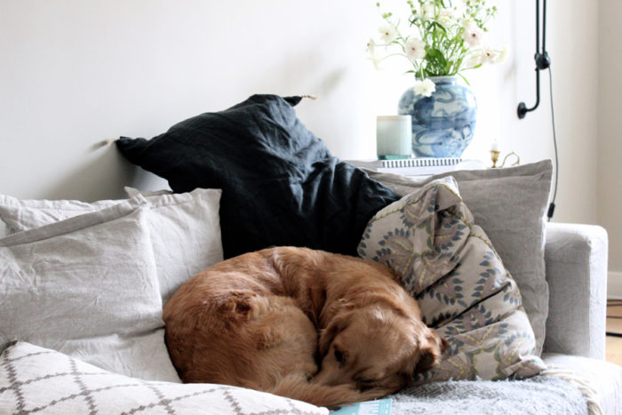 Johanna Bradford är ELLE Decorations nya bloggare! | ELLE Johanna Bradford är ELLE Decorations nya bloggare! | ELLE