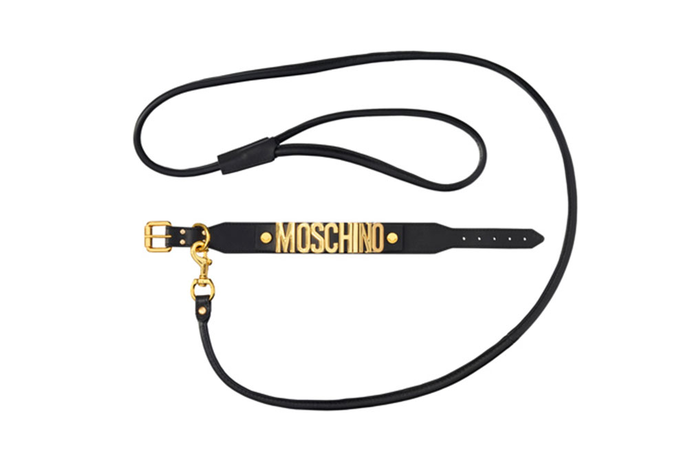 Hundkoppel H&M x Moschino