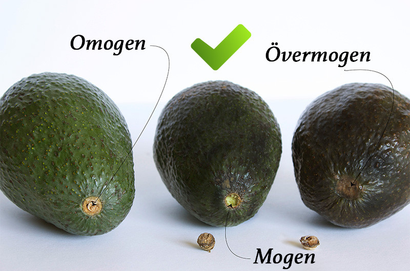 Hur Gör Man En Avokado Mogen