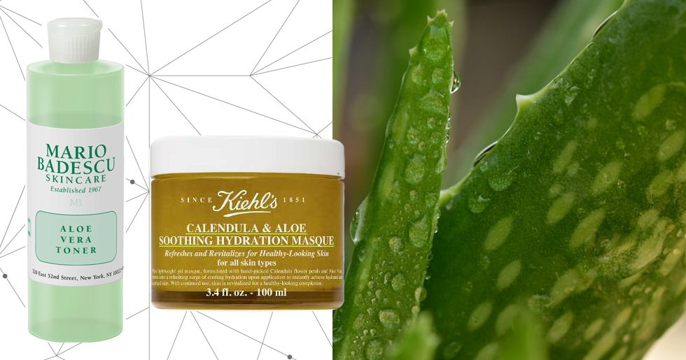 Därför ska du lägga till Aloe Vera i din hudvårdsrutin