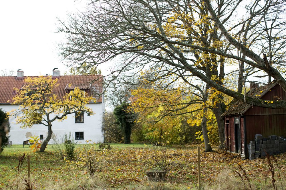 Romantiskt eller spontant, avancerat eller avslappnat Malm har gott om Kanske ska du charma dejten p en mysig middag eller bryta isen Hit gr du fr en frsta dejt i Malm Thatsup