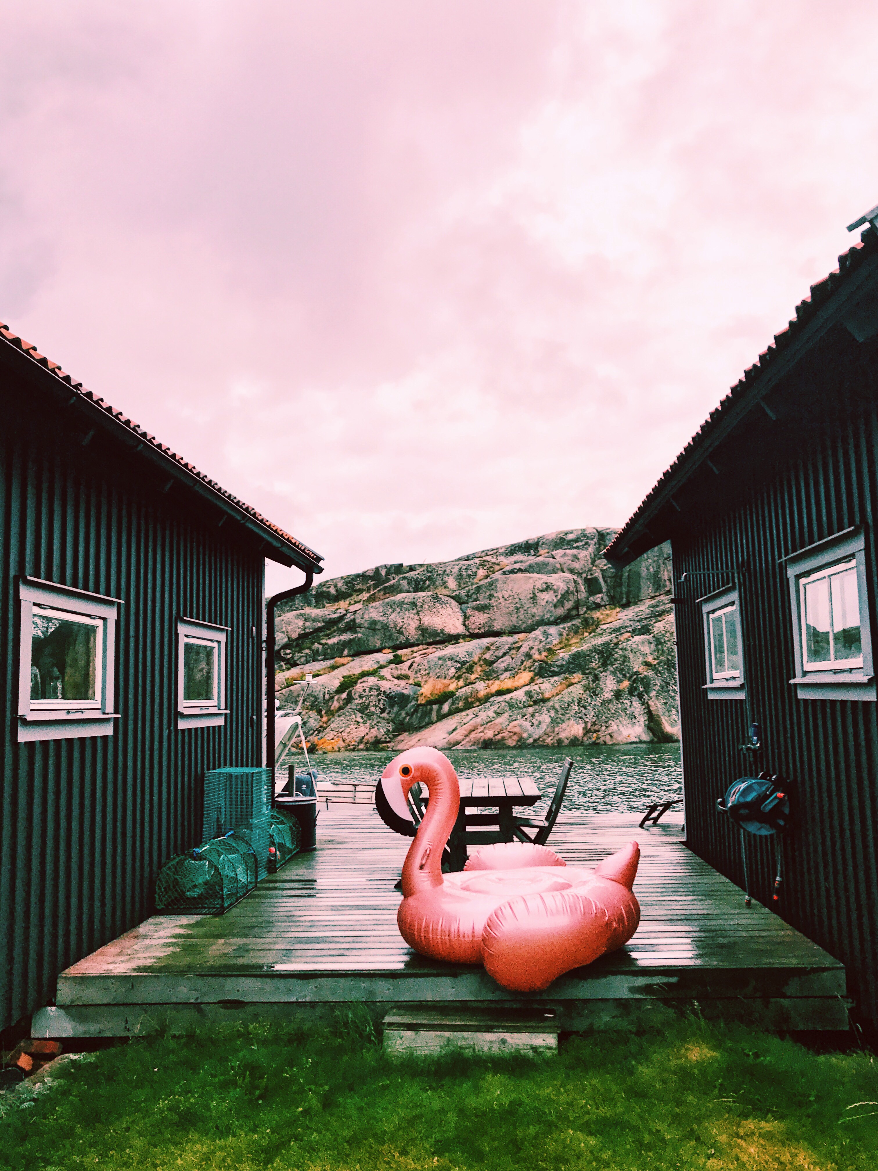 Swingers and flamingos Does pink flamingos mean the people r swingers