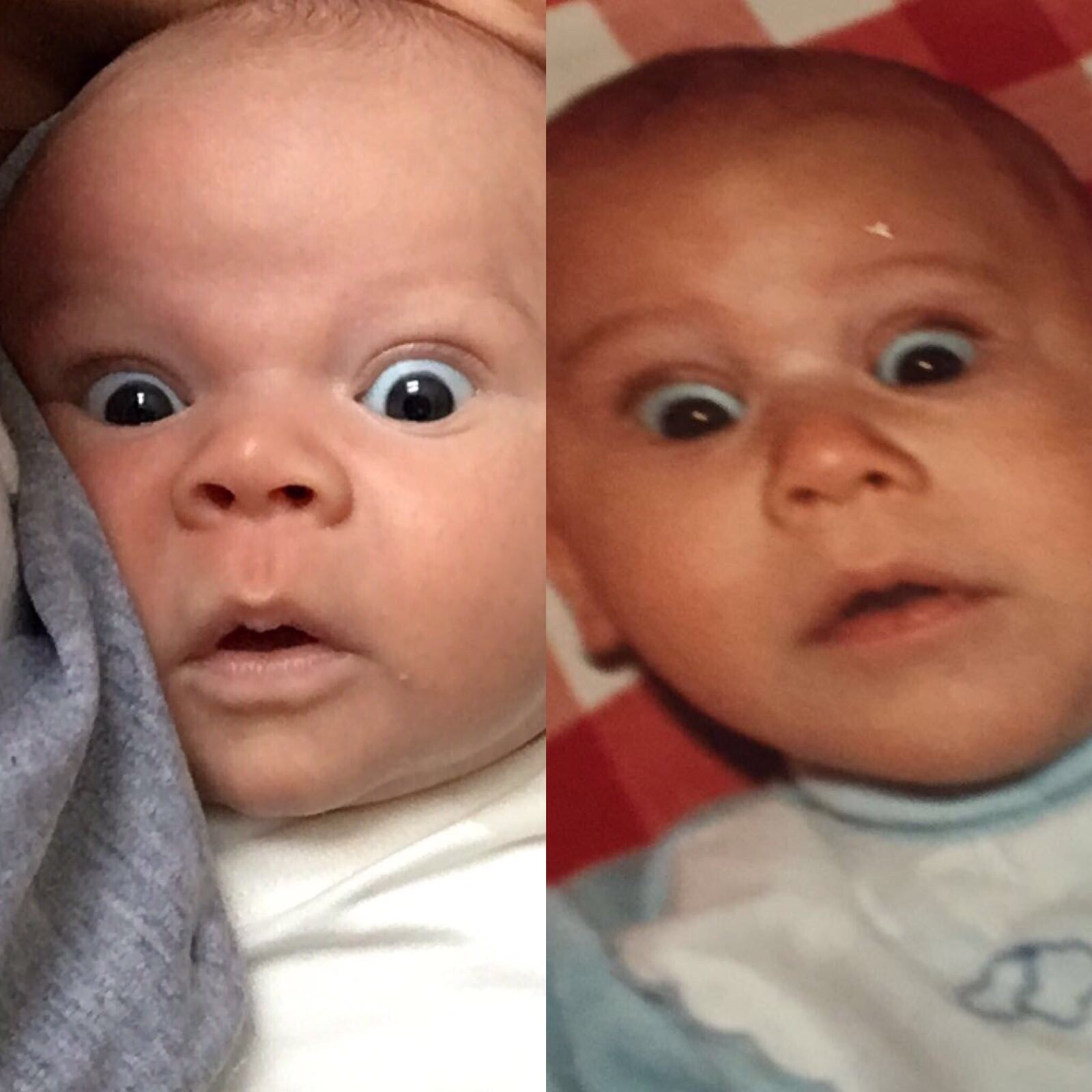Bebisbilder på hela familjen - vem är Arnold mest lik ...
