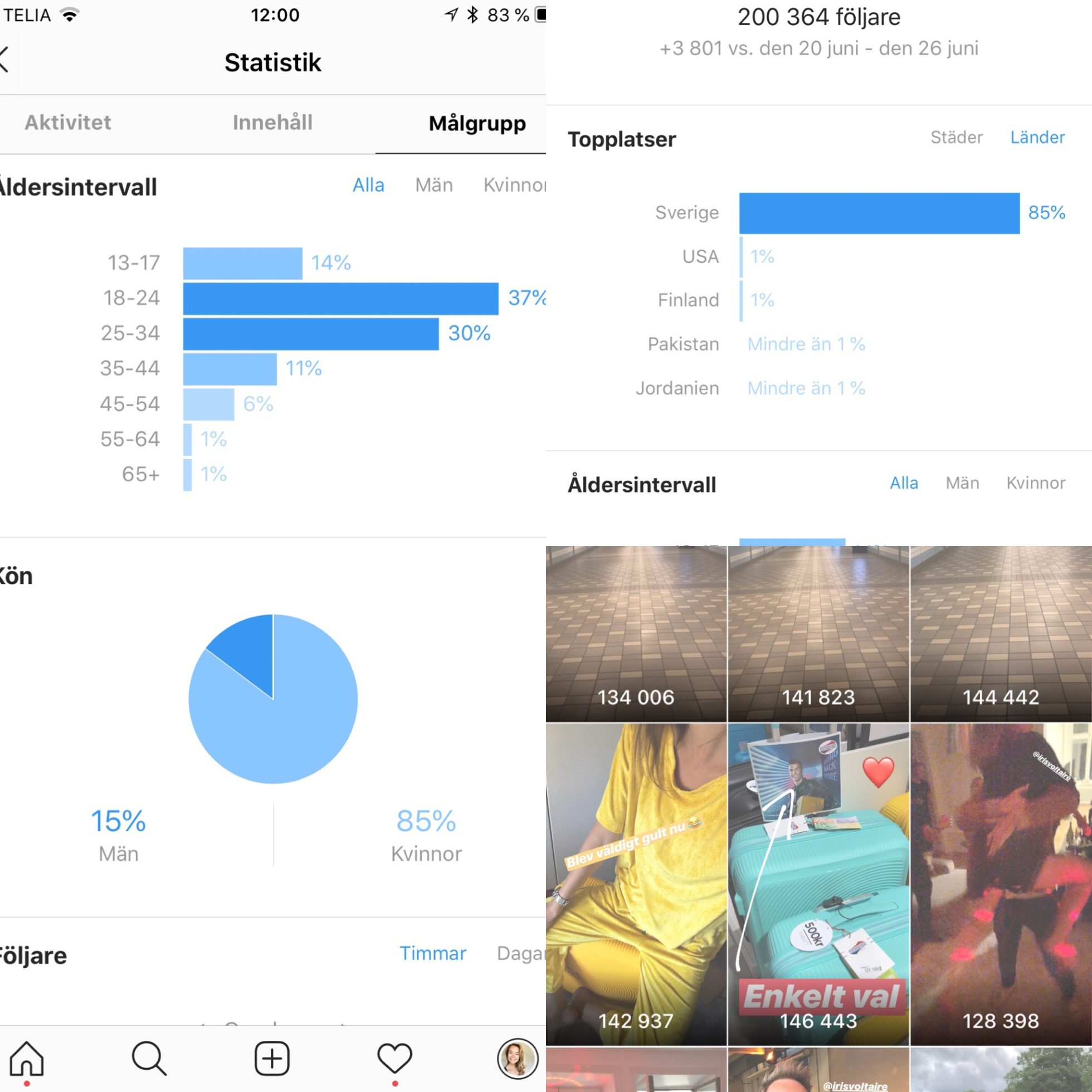 Se Vilka Som Varit Inne På Ens Instagram