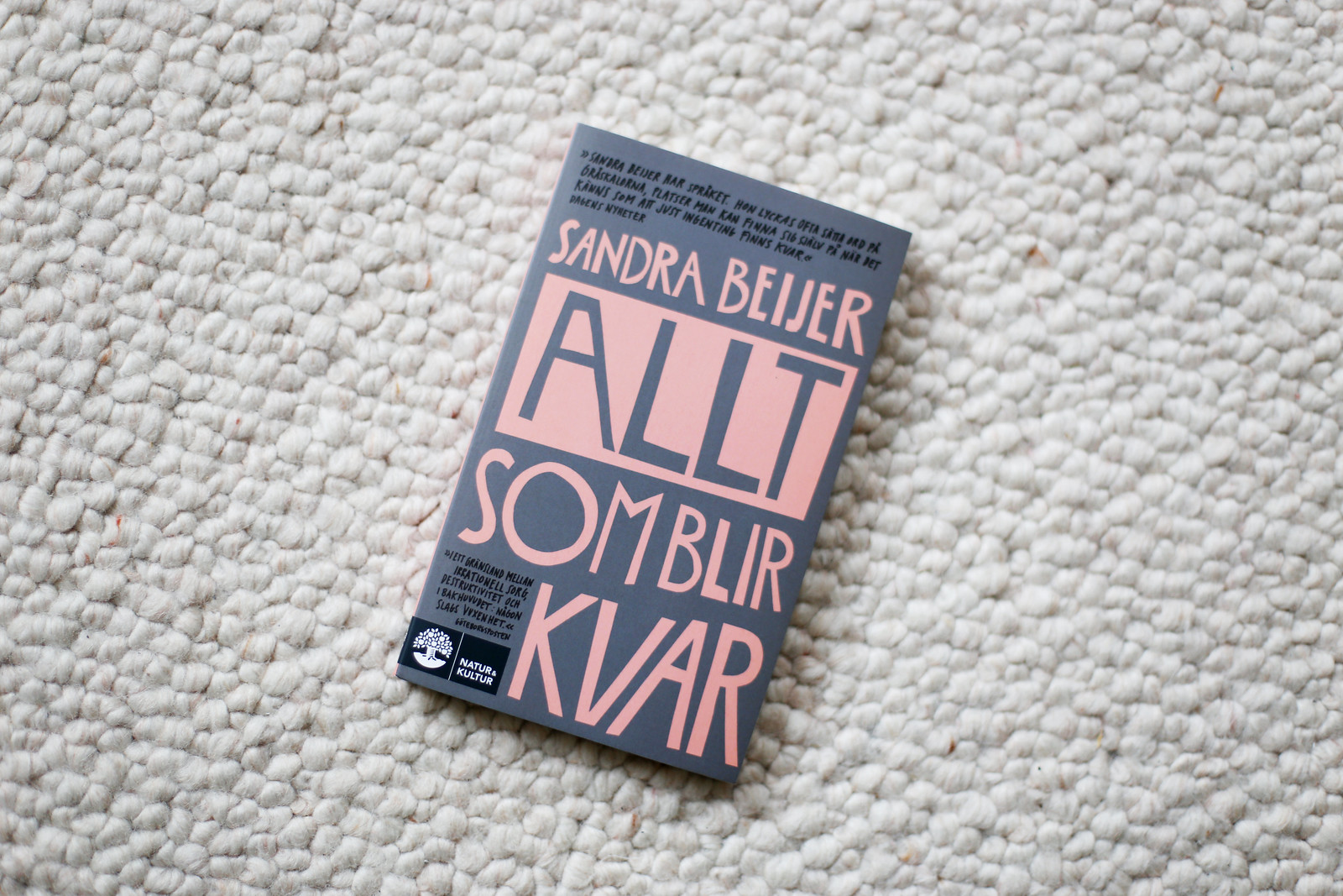 Allt Som Blir Kvar Svt