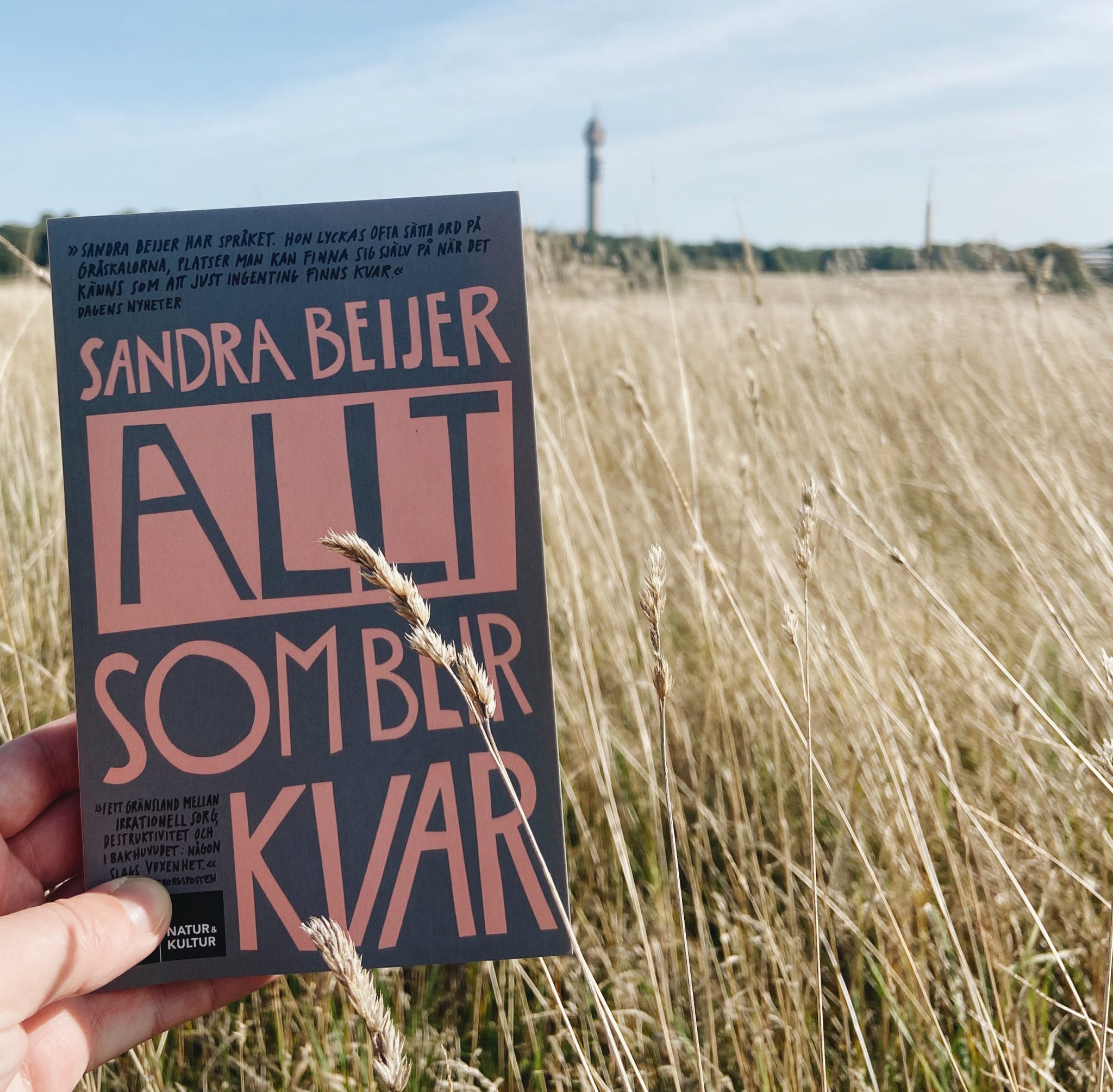 Allt Som Blir Kvar Svt