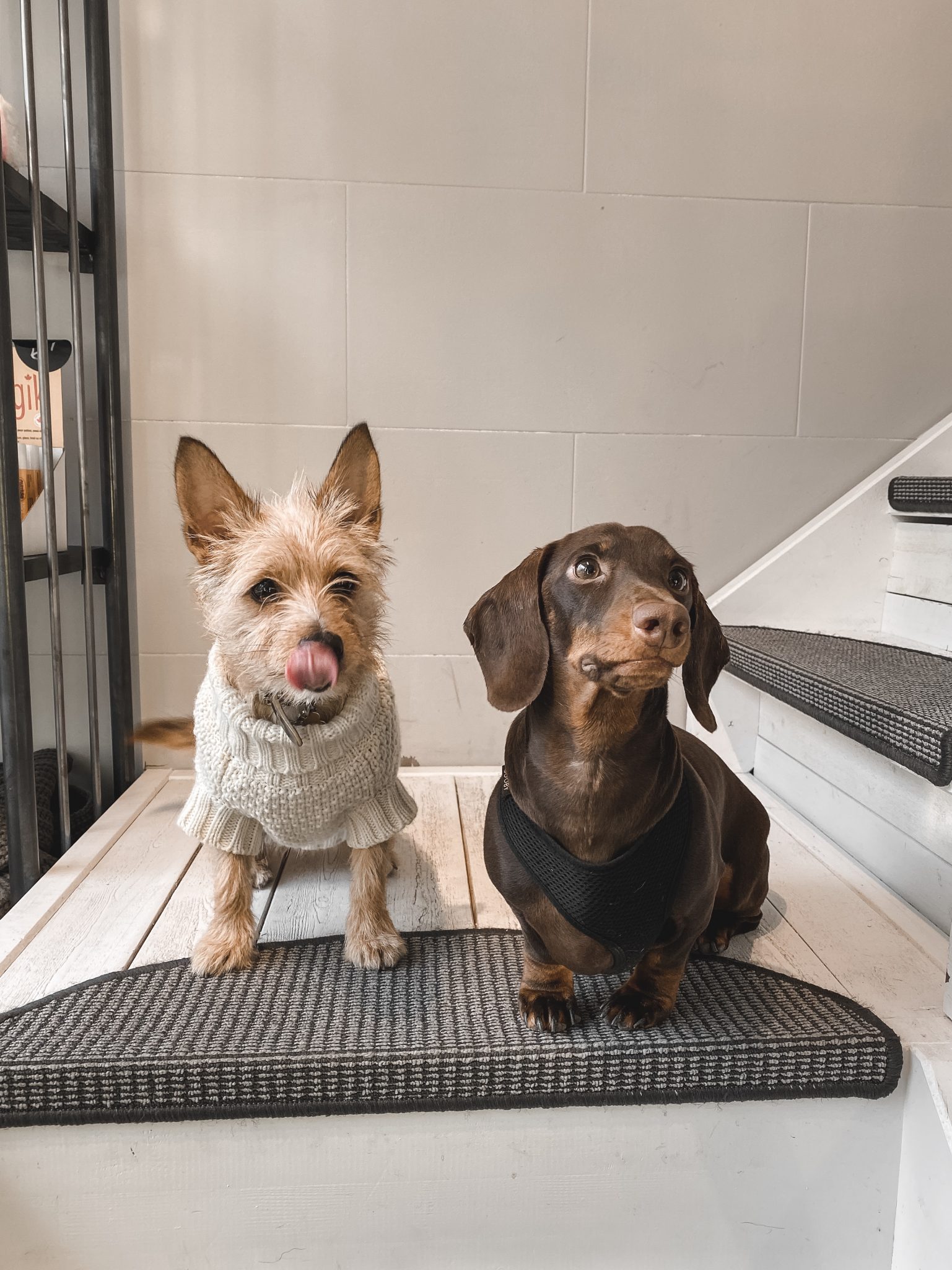 Som var Finn dating när han dog