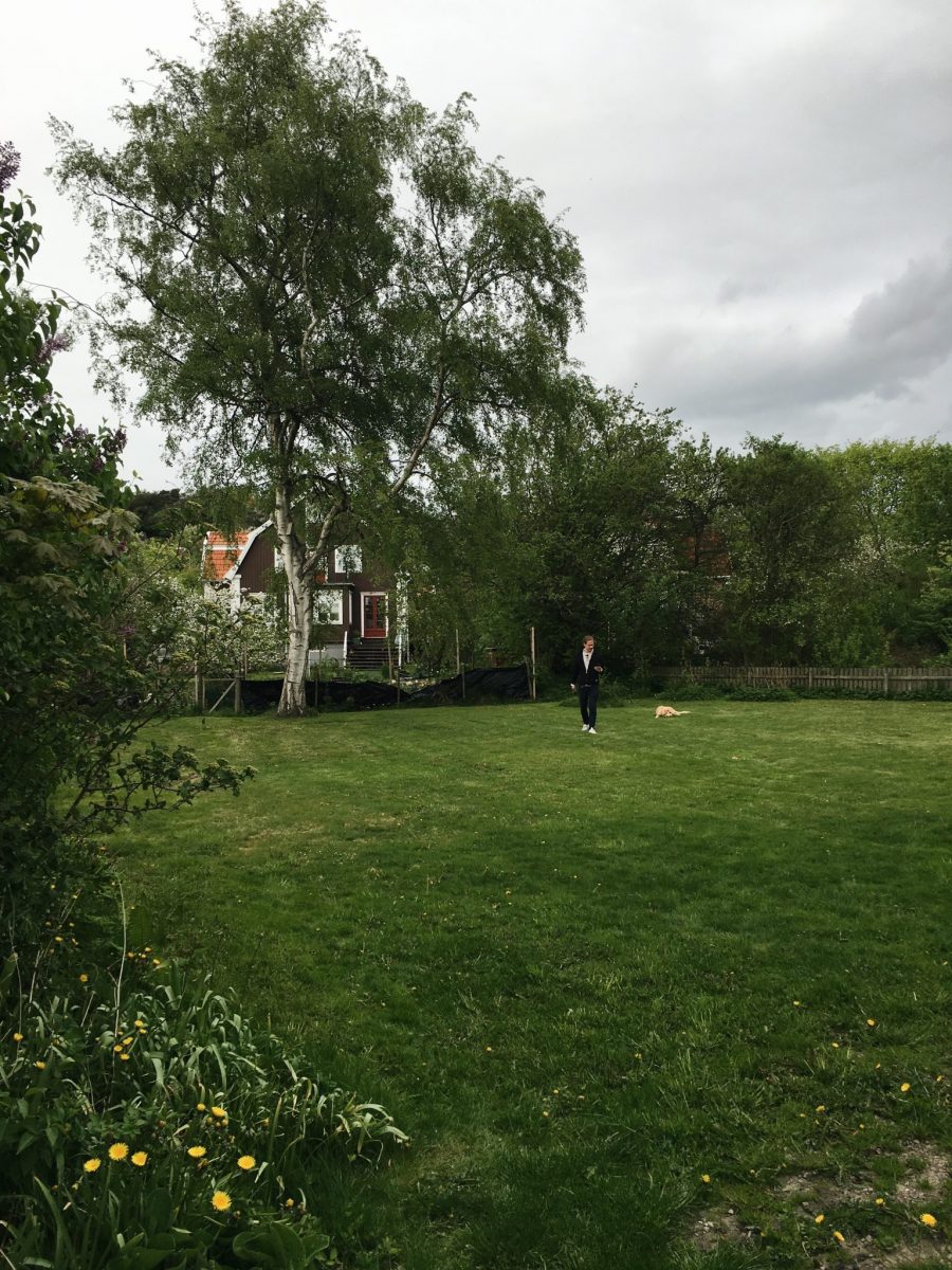 Om att flytta hem Johanna Bradford